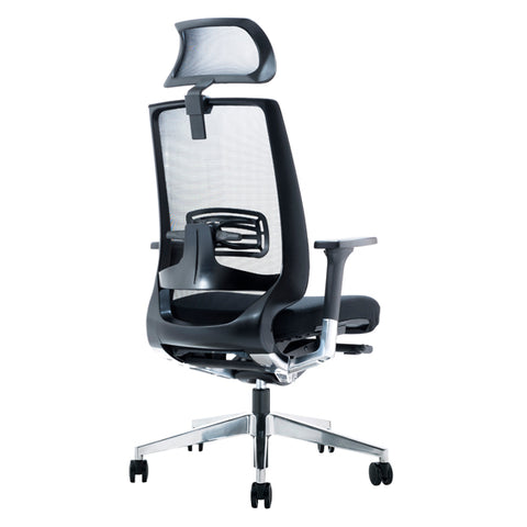 Image of Fully Ergonomic Mesh Evita Office Chair - Buy Online Now At Active Offices