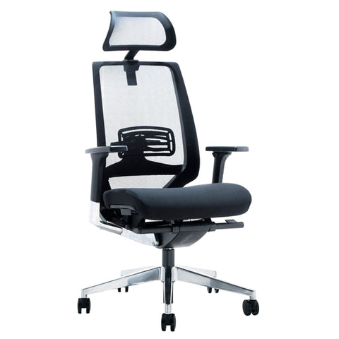 Image of Fully Ergonomic Mesh Evita Office Chair - Buy Online Now At Active Offices