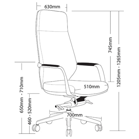 Image of Sleek Ergonomic Grand Executive Office Boardroom Chair - Buy Online Now At Active Offices