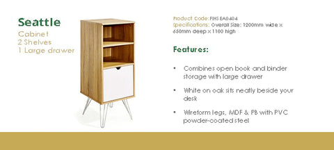 Image of Stylish Seattle Office Storage Cabinet