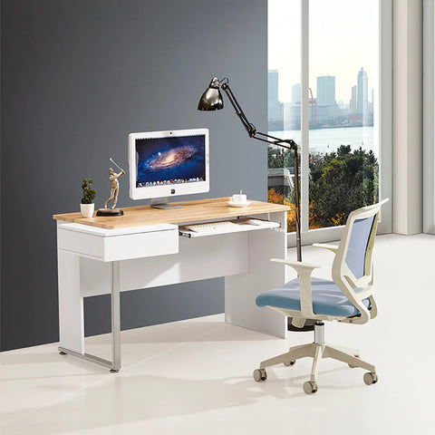 Image of Modern Minneapolis Home Office Computer Desk
