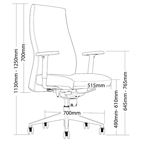Image of Ergonomic Venus Executive Office or Boardroom Chair - Buy Online Now At Active Offices