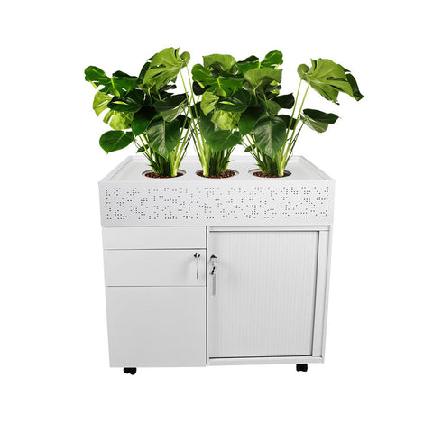 Image of White Planter Box